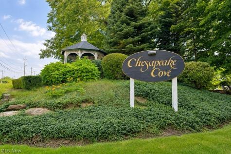 335 Chesapeake Cove Painesville OH 44077