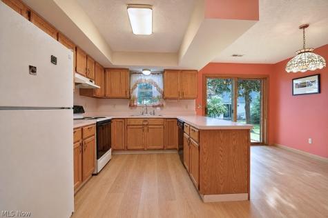 335 Chesapeake Cove Painesville OH 44077