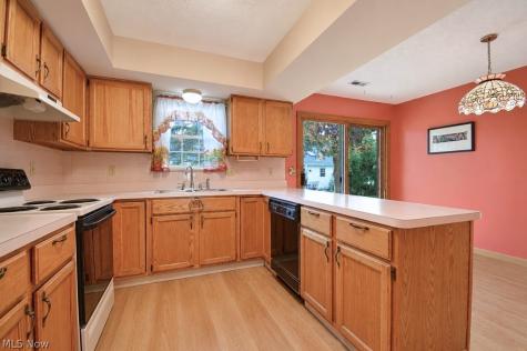 335 Chesapeake Cove Painesville OH 44077