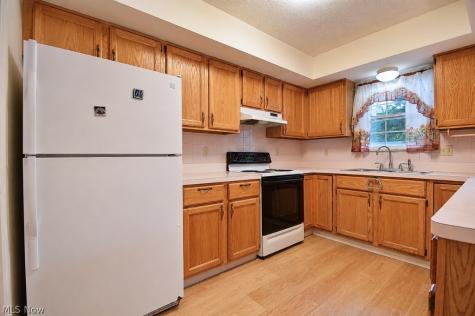335 Chesapeake Cove Painesville OH 44077