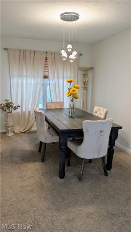 4865 Quarry Lane Richmond Heights OH 44143