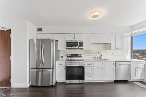 12520 Edgewater Drive Lakewood OH 44107