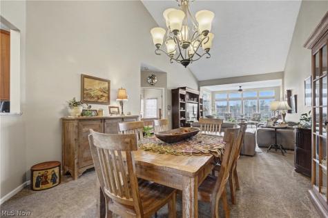 4954 Lake View Drive Peninsula OH 44264
