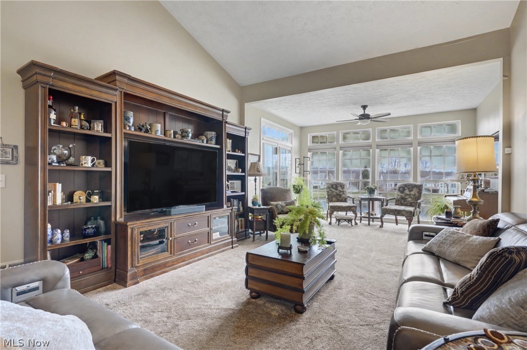 4954 Lake View Drive Peninsula OH 44264