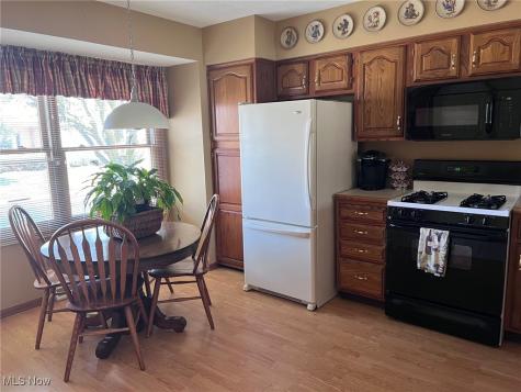 121 Oakley Green Drive Elyria OH 44035