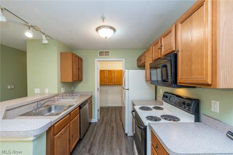 23004 Chandlers Lane Olmsted Falls OH 44138