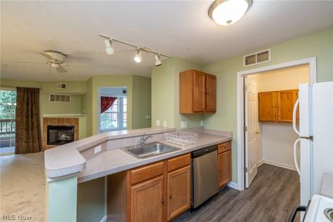 23004 Chandlers Lane Olmsted Falls OH 44138