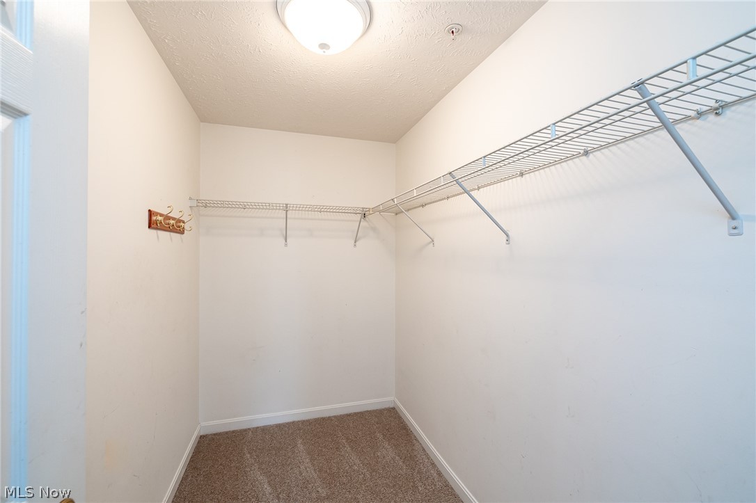 23004 Chandlers Lane Olmsted Falls OH 44138
