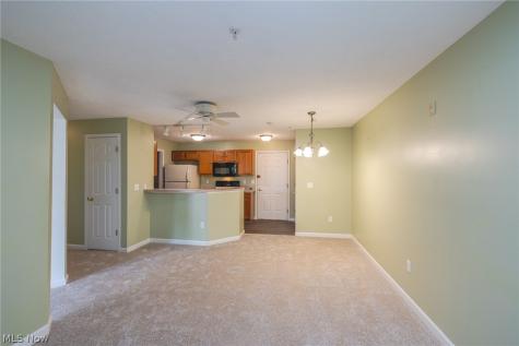 23004 Chandlers Lane Olmsted Falls OH 44138