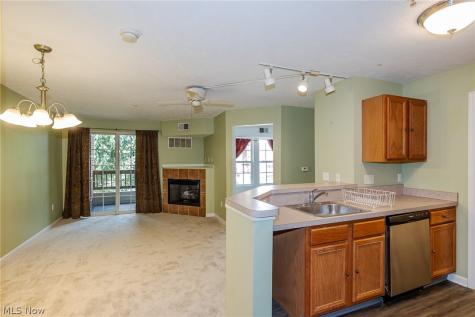 23004 Chandlers Lane Olmsted Falls OH 44138