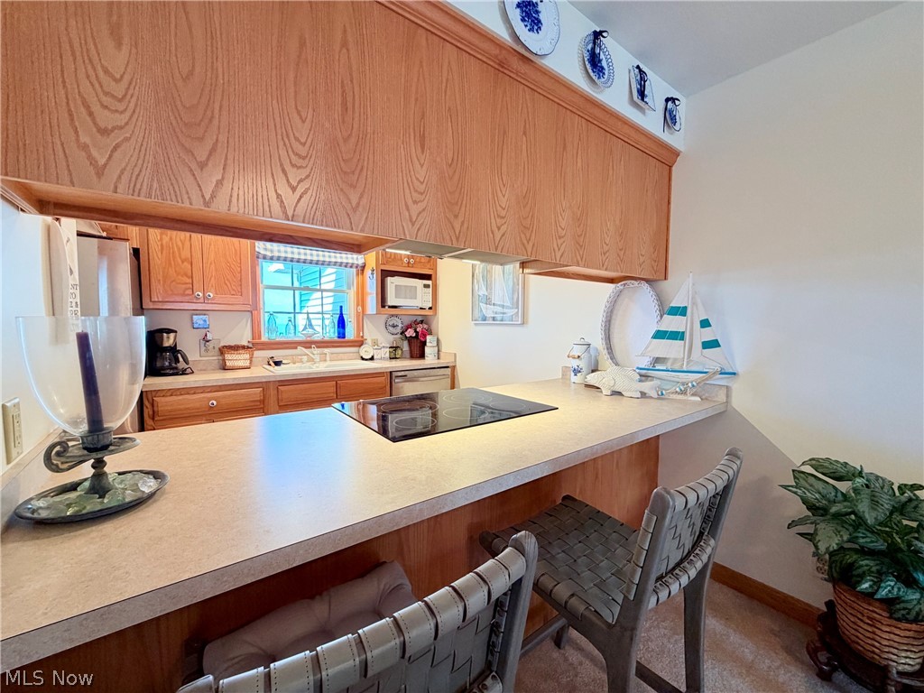 5753 Lake Road E Geneva OH 44041