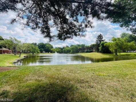 9552 Fernwood Drive Olmsted Falls OH 44138