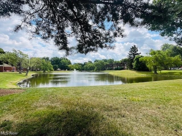 9552 Fernwood Drive Olmsted Falls OH 44138