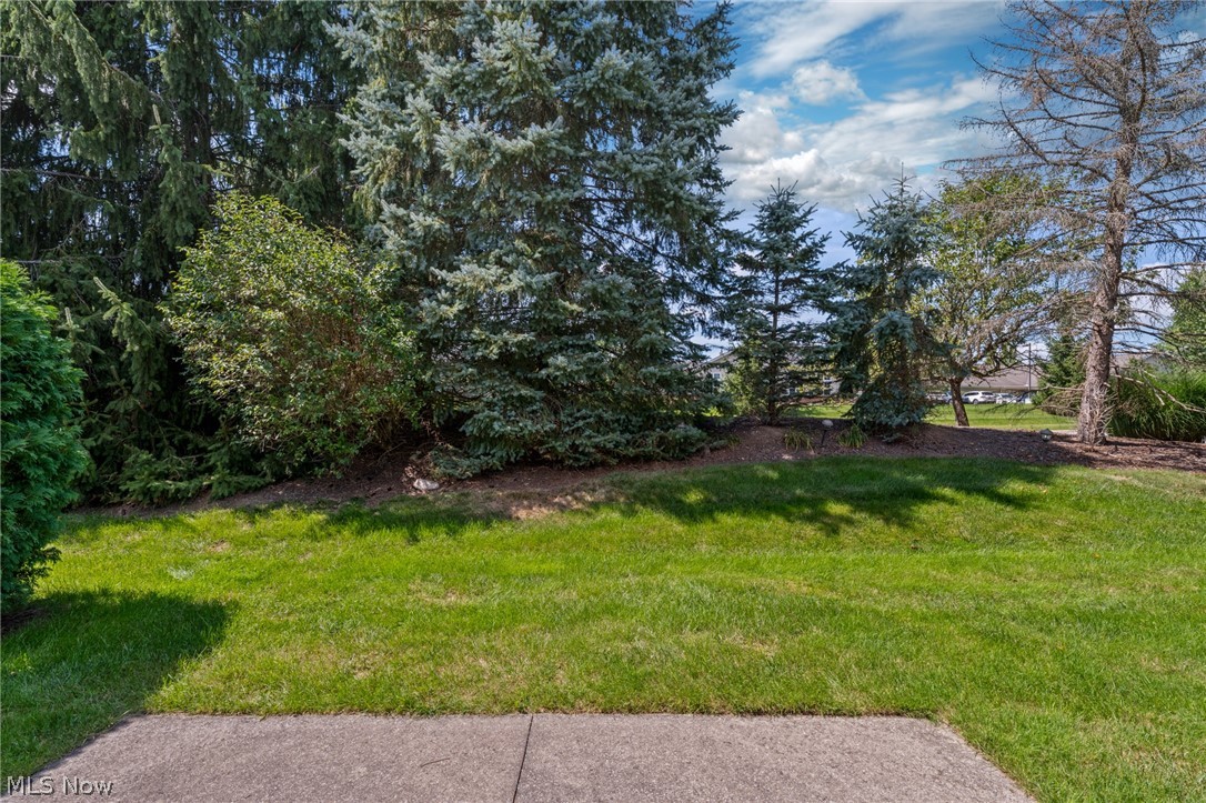 1980 Sandy Hook Stow OH 44224
