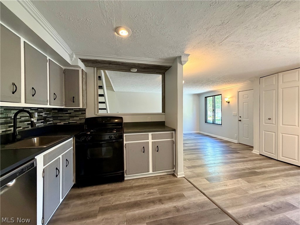 1651 Mentor Avenue Painesville OH 44077