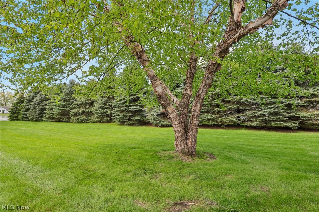 2111 Lakefield Drive Huron OH 44839