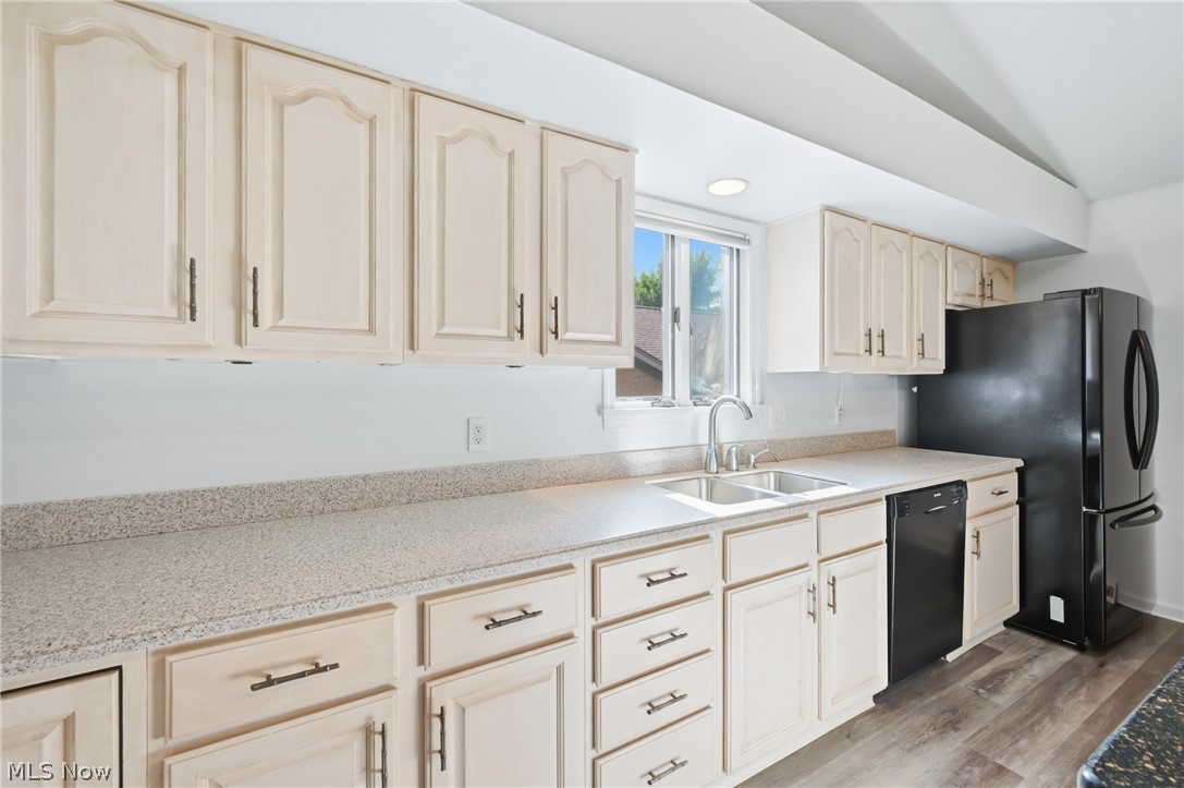 3721 Mercedes Place Canfield OH 44406