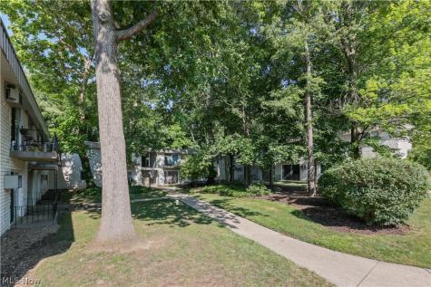 996 S Lincoln Street Kent OH 44240
