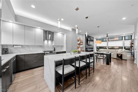 3110 Vine Court Cleveland OH 44113