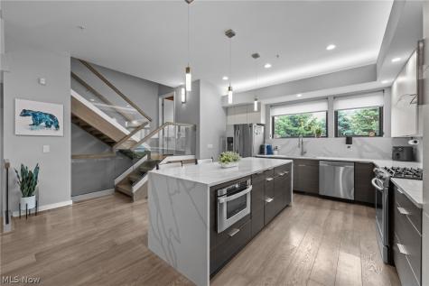 3110 Vine Court Cleveland OH 44113