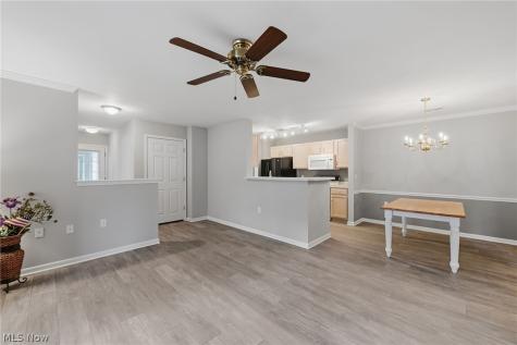 3394 Lenox Village Drive Fairlawn OH 44333