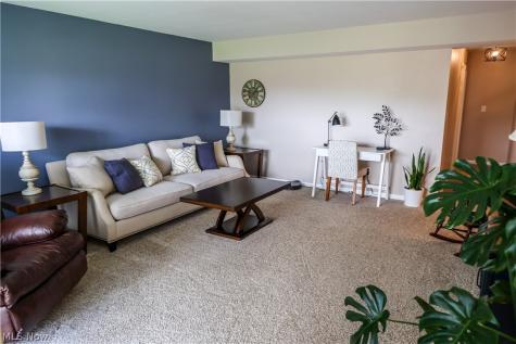 1145 Canyon View Road Sagamore Hills OH 44067