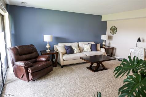 1145 Canyon View Road Sagamore Hills OH 44067