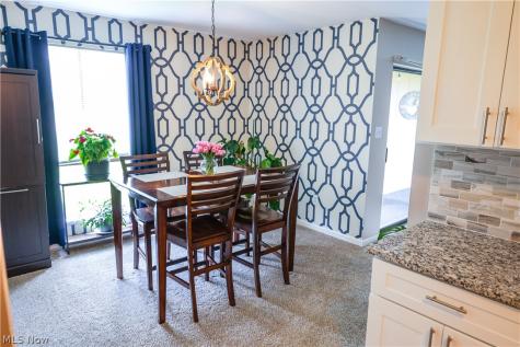 1145 Canyon View Road Sagamore Hills OH 44067