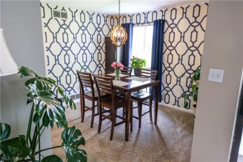 1145 Canyon View Road Sagamore Hills OH 44067