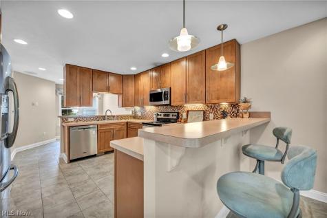 772 Wildberry Circle Avon Lake OH 44012