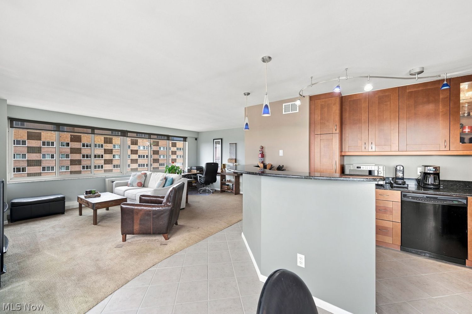 12520 Edgewater Drive Lakewood OH 44107