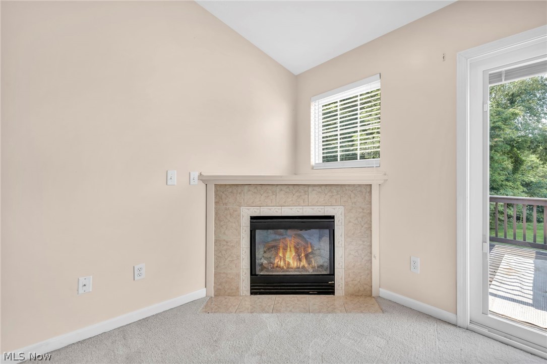 1024 Saint Michaels Way Madison OH 44057