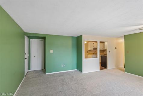 9510 Cove Drive North Royalton OH 44133