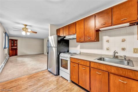115 S Rocky River Drive Berea OH 44017