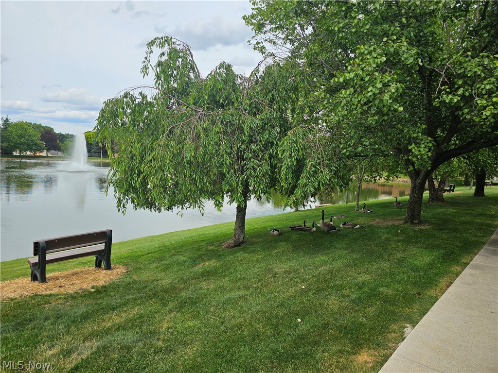8605 Scenicview Drive Broadview Heights OH 44147