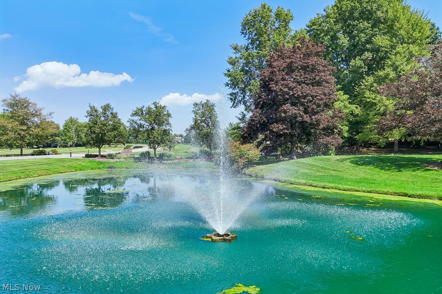 515-3 Concord Downs Circle Aurora OH 44202
