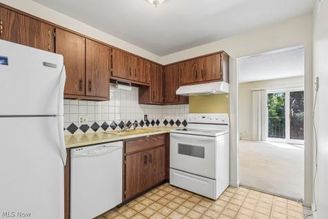 1155 Charter Oak Westlake OH 44145