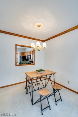 1235 Spring Ridge Circle Alliance OH 44601