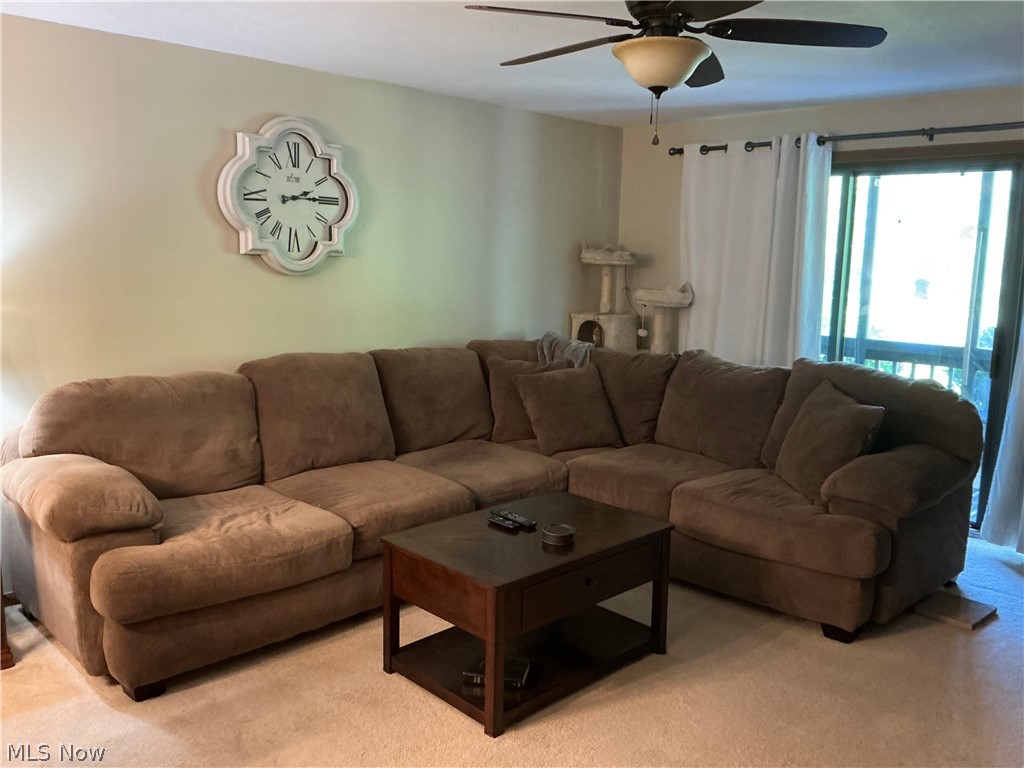 231 Portage Lakes Drive Coventry OH 44319
