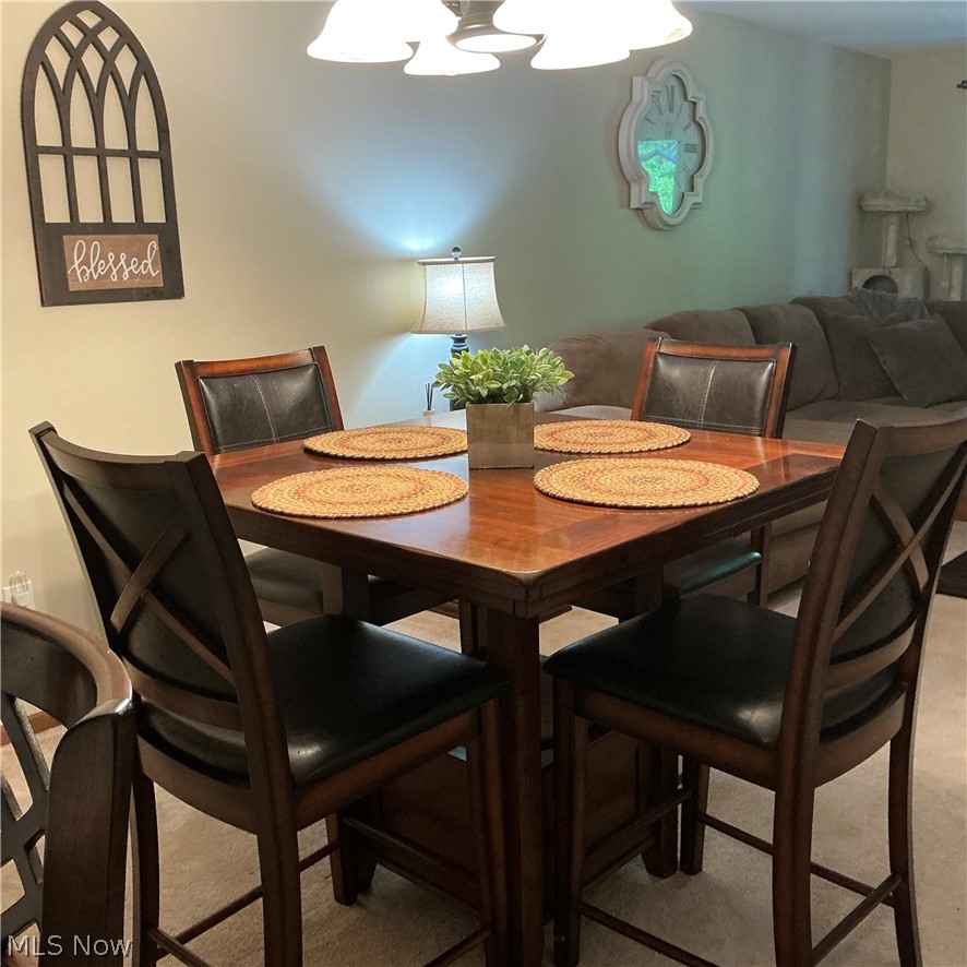 231 Portage Lakes Drive Coventry OH 44319