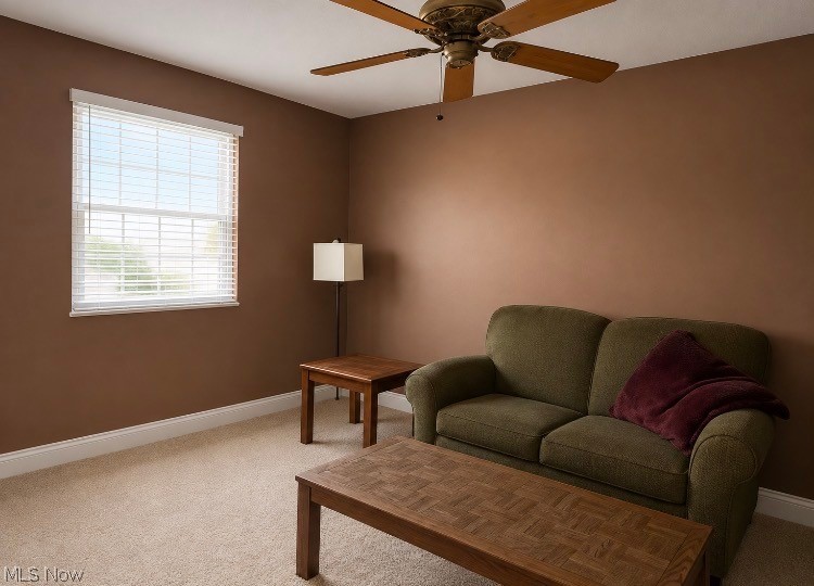 44 Firebush Lane Northfield OH 44067