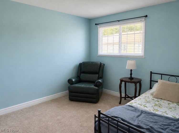 44 Firebush Lane Northfield OH 44067
