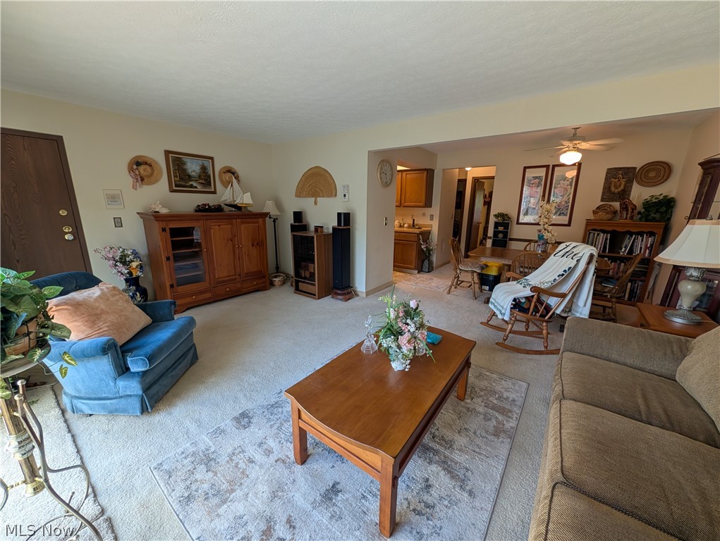 3253 Mayfield Road Cleveland Heights OH 44118