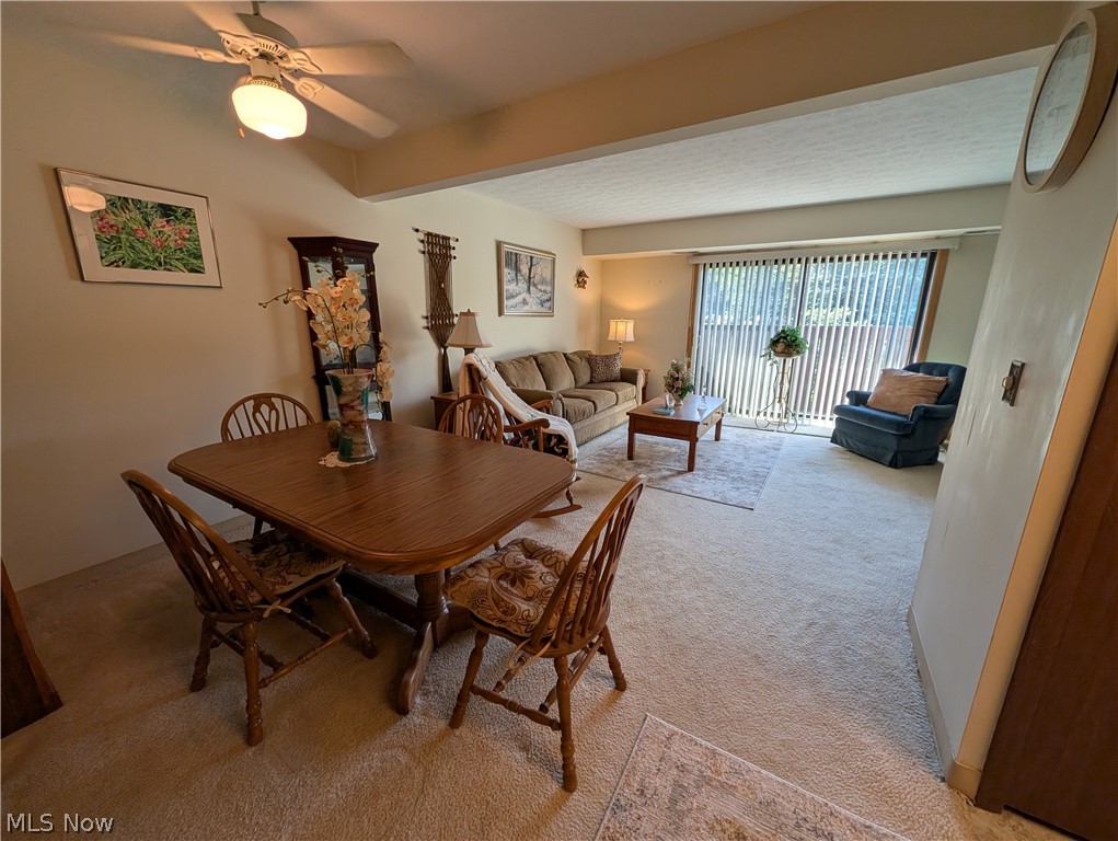 3253 Mayfield Road Cleveland Heights OH 44118