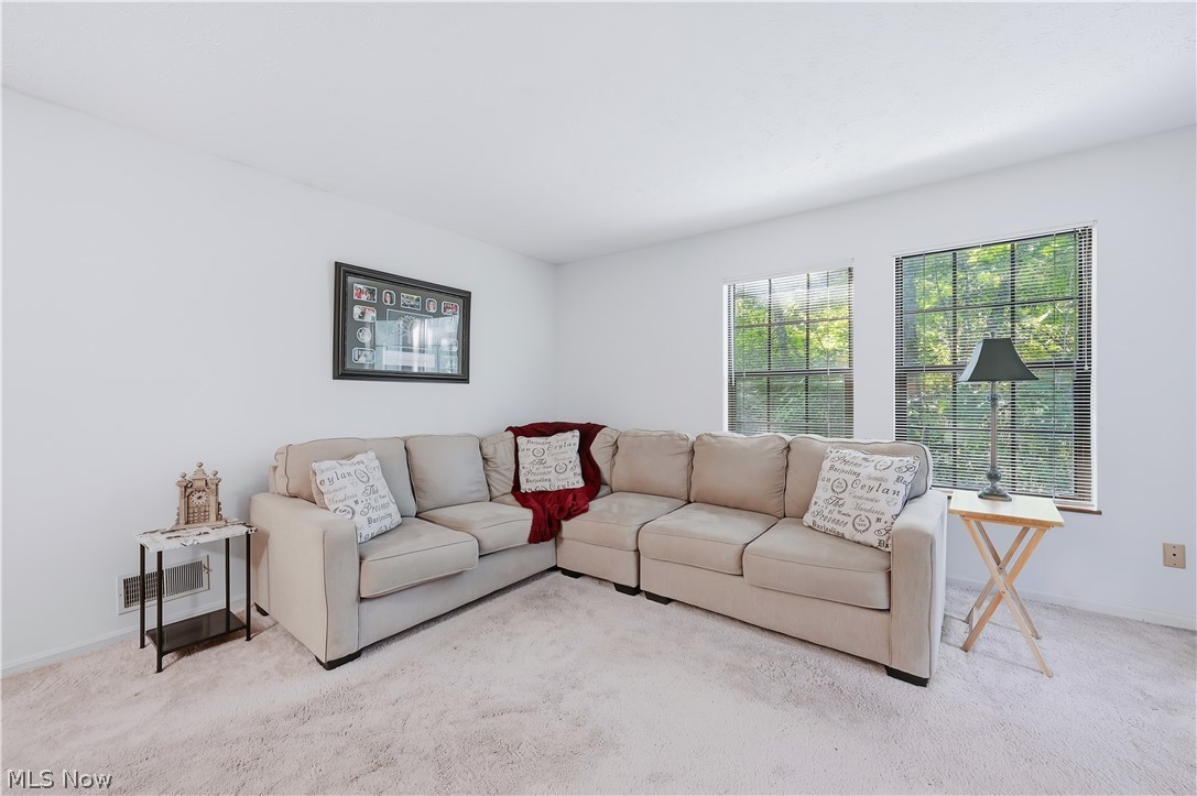 3810 Northwoods Court NE Warren OH 44483
