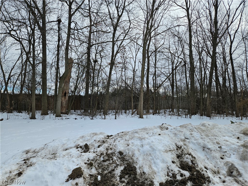 7294 Scottdale Circle Mentor OH 44060