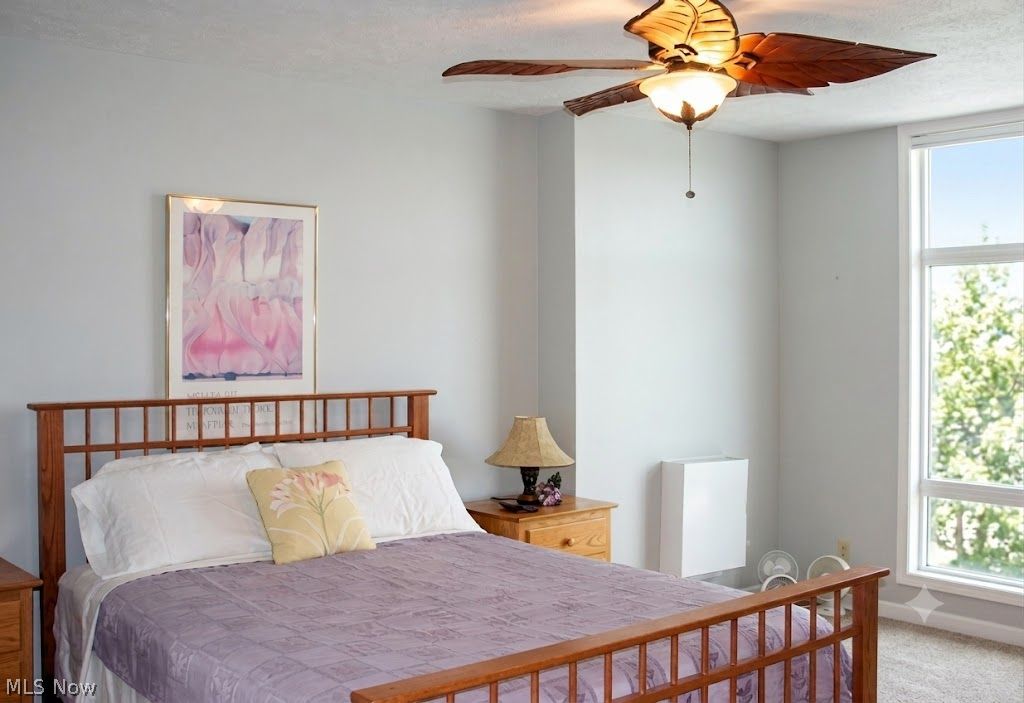 25801 Lake Shore Boulevard Euclid OH 44132