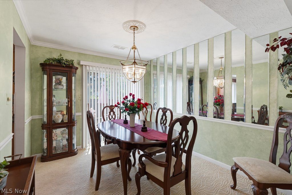 774 Pipes Court Sagamore Hills OH 44067
