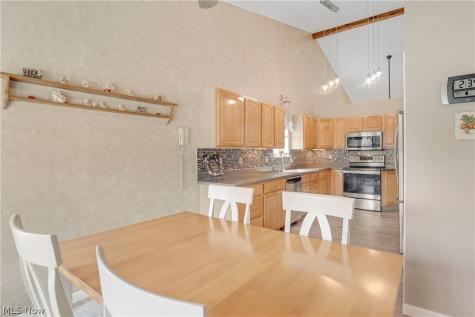 9278 Clark Circle Twinsburg OH 44087