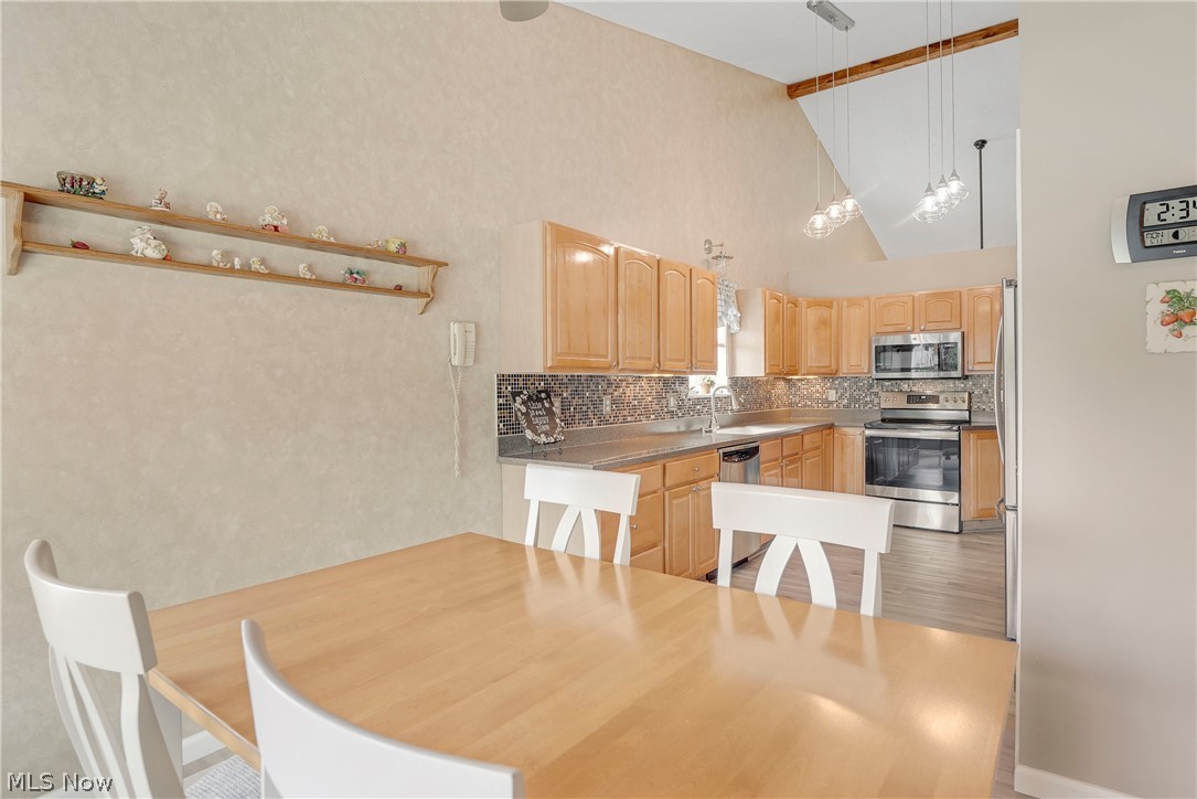 9278 Clark Circle Twinsburg OH 44087